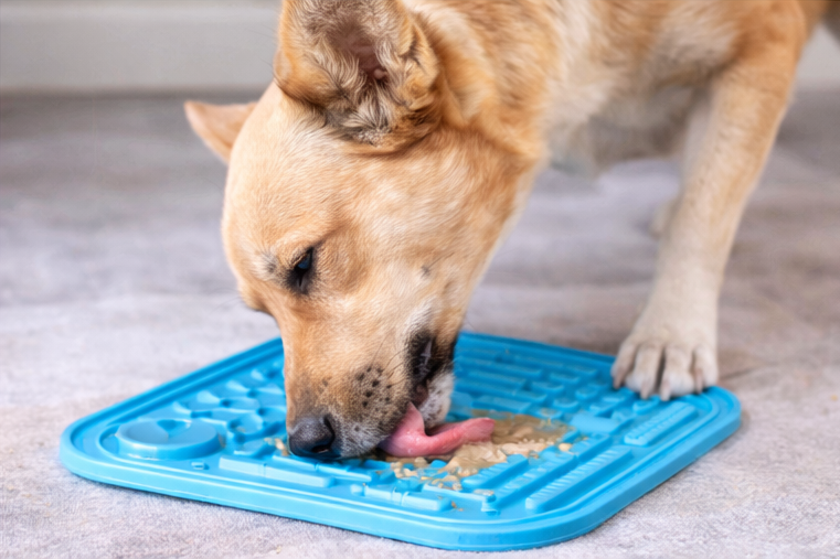 Calming Dog Lick Mat – Stress Relief Feeding Pad (With Suction)