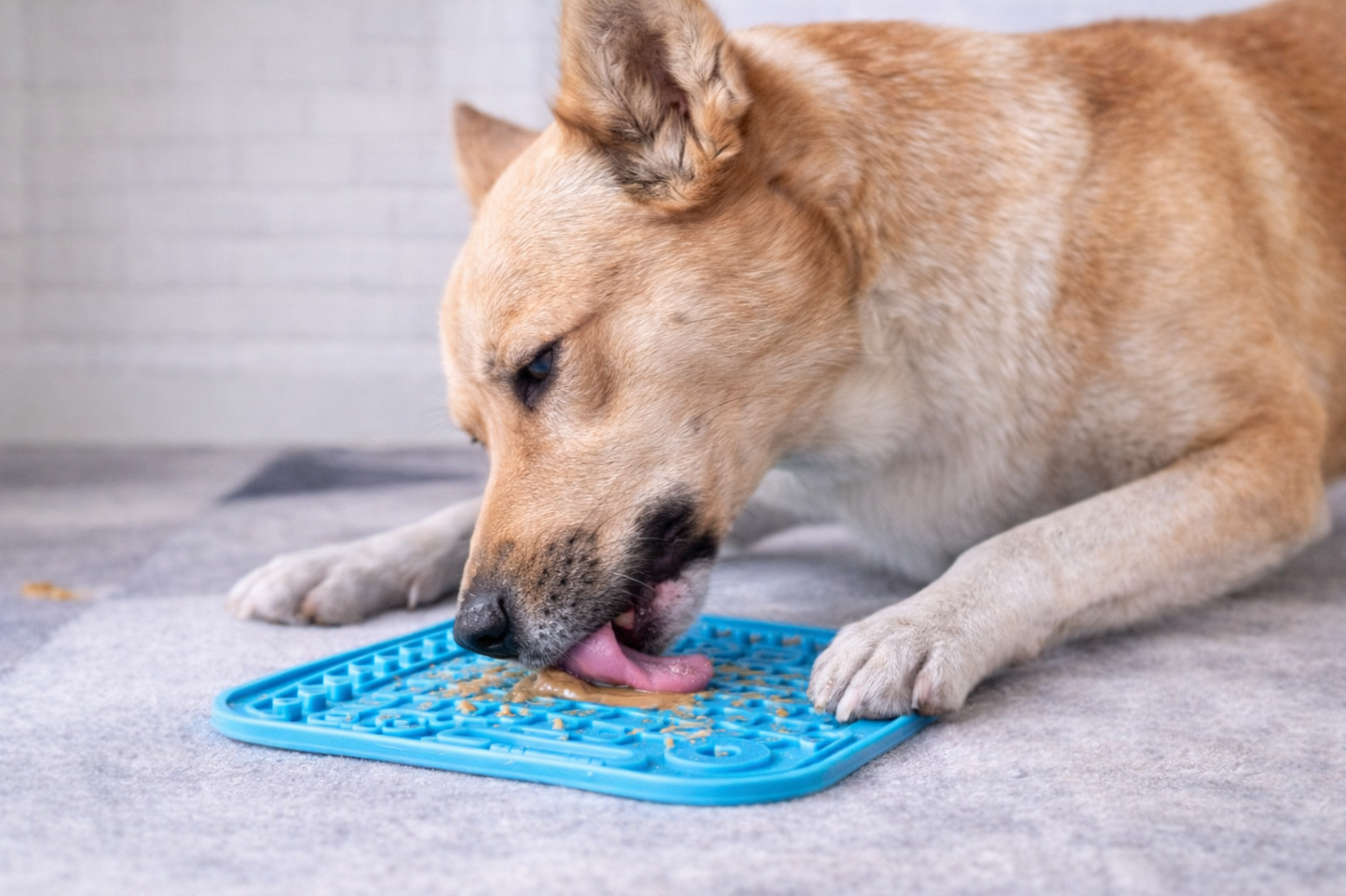 Calming Dog Lick Mat – Stress Relief Feeding Pad (With Suction)