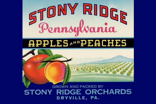Stony Ridge Pennsylvania Apples and Peaches 28x42 Giclee on Canvas