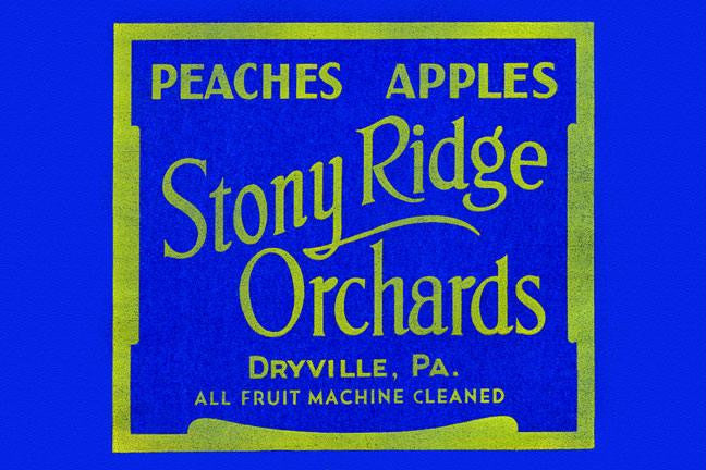 Stony Ridge Orchards Peaches & Apples 28x42 Giclee on Canvas